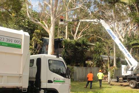 Photo: Tricky Tree Solutions - Sunshine Coast Arborist for Tree Removal and Tree Care Services
